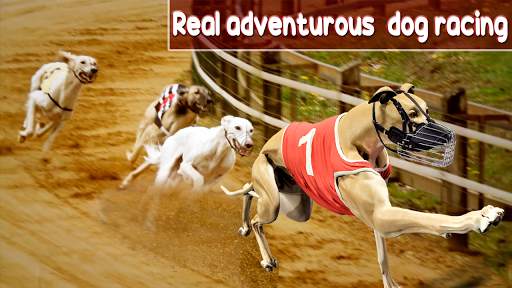 Dog Crazy Race Simulator 2021 screenshot 1