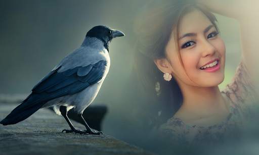 Animal Photo Frames HD screenshot 5