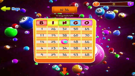 Bingo Granny screenshot 6