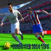 Guide PES 14 Tips 1.0