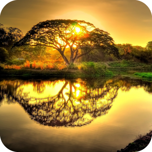 Sunrise HD Wallpaper icon
