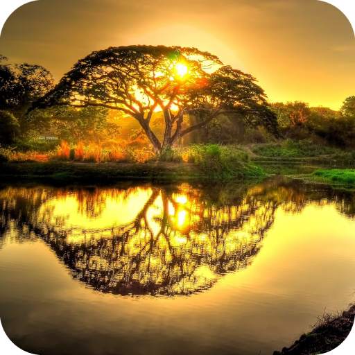 Sunrise HD Wallpaper 1.11