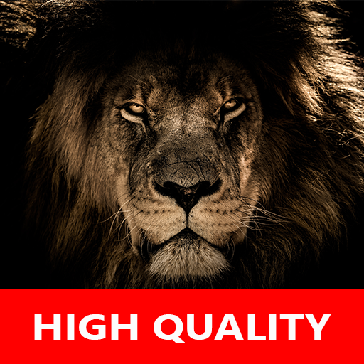Real Lion Sounds - High Quality Lion Roar Sounds icon