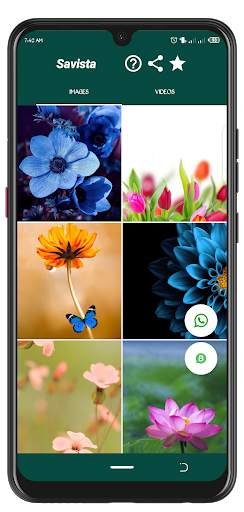 Savista - Status Saver for Whatsapp & WA Business स्क्रीनशॉट 1
