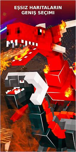 Dragon Mods for Minecraft screenshot 4