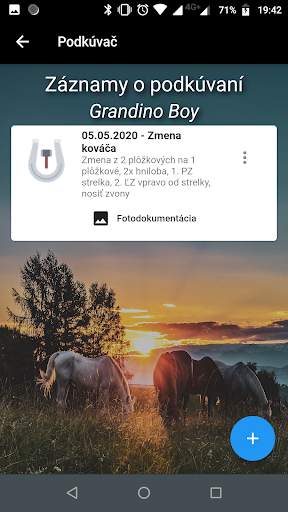 My Horse screenshot 4