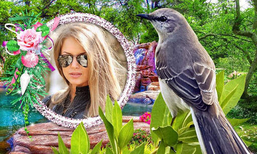 Birds Photo Frames HD screenshot 12
