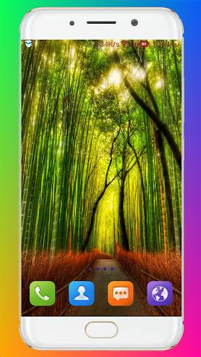 Forest Wallpaper HD screenshot 14
