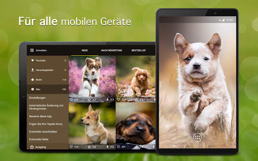 Hintergrundbilder Hündchen 4K screenshot 5
