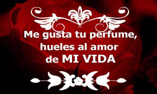 Estados de amor para whatsapp screenshot 8