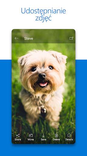 Microsoft OneDrive screenshot 2