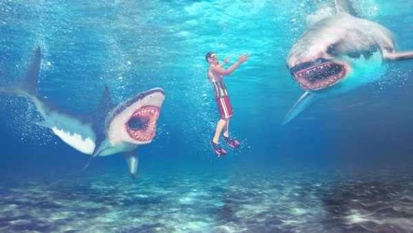 Shark 3D Hunting Games 2018 screenshot 4