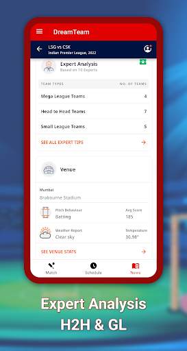 Dream Team: Cricket Team Maker screenshot 4