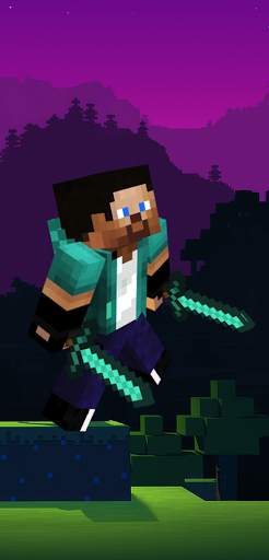 Steve Minecraft Skins screenshot 2