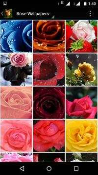 Rose Wallpaper HD screenshot 3