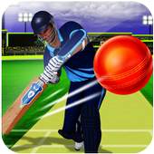 World Mobile Cricket 2017 1.1