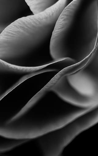 Wallpapers for Samsung S20™ screenshot 7