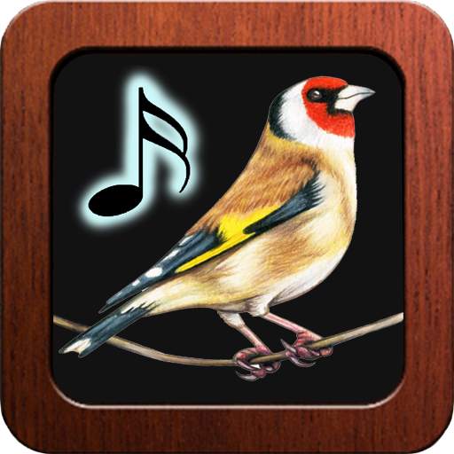 Goldfinch Tones 1.1