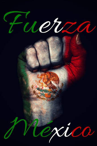 Viva Mexico screenshot 2