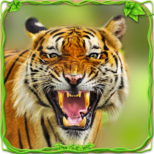 محاكاة نمر غاضب 🐅 أيقونة