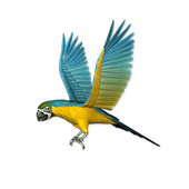 Birds LiveWallpaper icon
