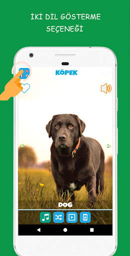 Hayvan Sesleri screenshot 3
