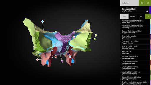 Anatomyka - 3D Anatomy Atlas screenshot 13