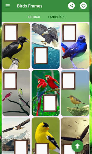 Birds Photo Frames स्क्रीनशॉट 1