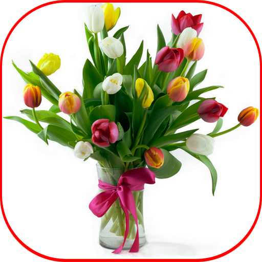 Flower Tulip HD icon