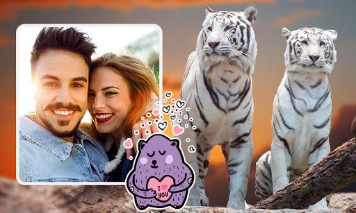 Tiger Photo Frames screenshot 2