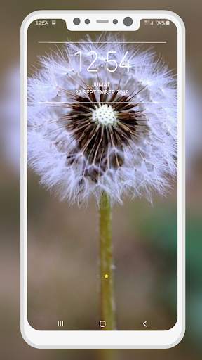 Dandelion Wallpaper screenshot 9