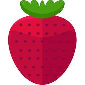 FRaise 5.0