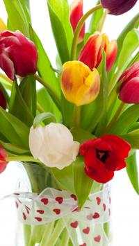 Tulip.Flowers wallpaper स्क्रीनशॉट 3