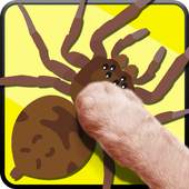 Cat Toys -SpiderHunt Cat Games 3.2