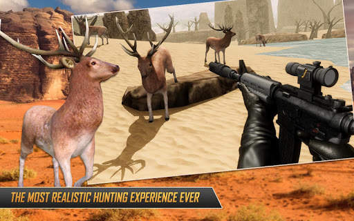 Wild Animal Hunting Game : Sniper 3D Deer Hunter screenshot 1