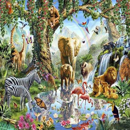 Animals and Birds Sounds 1.0