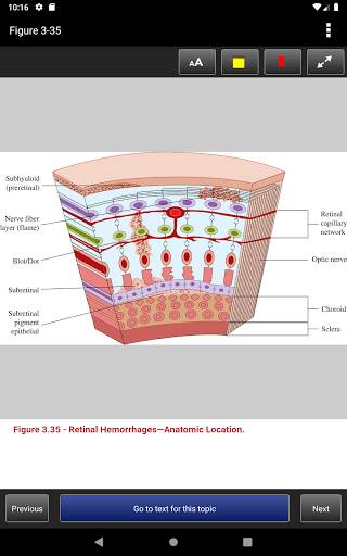 The Atlas of Emergency Medicine, 5th Edition screenshot 13