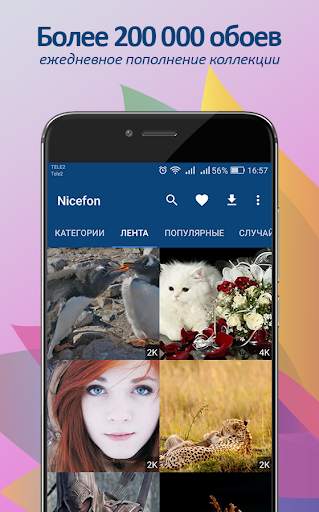 Обои и картинки от Nicefon. 20 screenshot 1