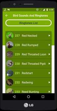 Bird Sounds And Ringtones screenshot 5