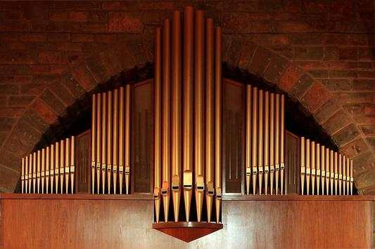 Real Organ Piano screenshot 8