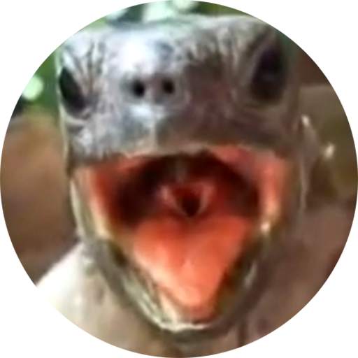 Aaah! Funny Turtle Sounds and Piano 2.0.3