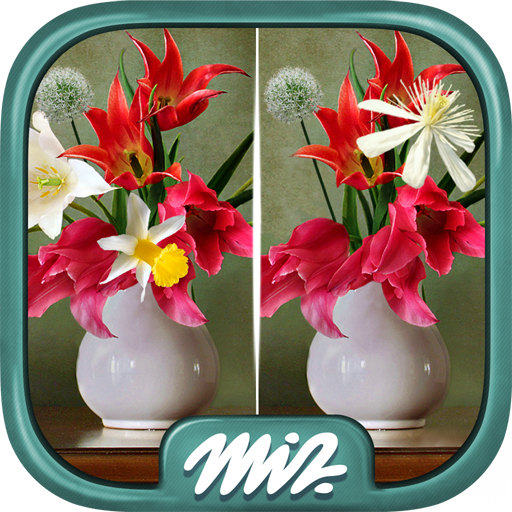 Find the Difference Flowers – Spot the Differences icon