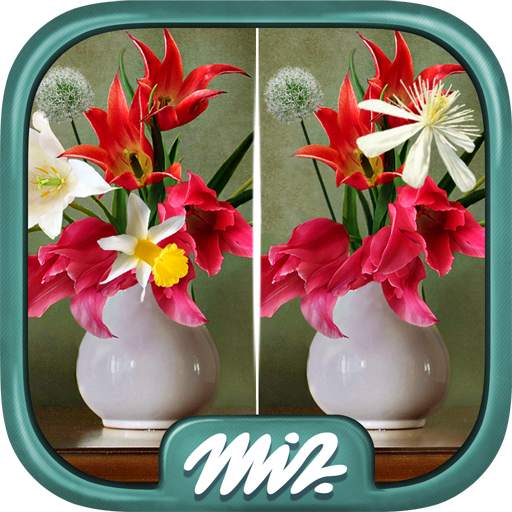 Find the Difference Flowers – Spot the Differences 2.1.1