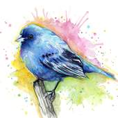Water Color Paint - Pencil Sketch Art 1.2