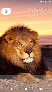 Lion Wallpapers screenshot 7