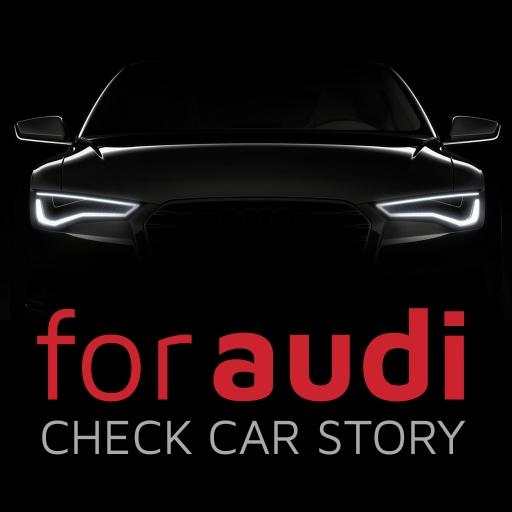 Check Car History For Audi 6.6.6