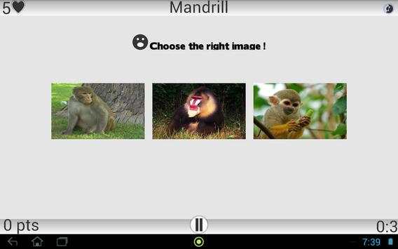 Animals screenshot 4