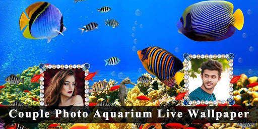Couple Photo Aquarium Live Wallpaper 2020 5 تصوير الشاشة
