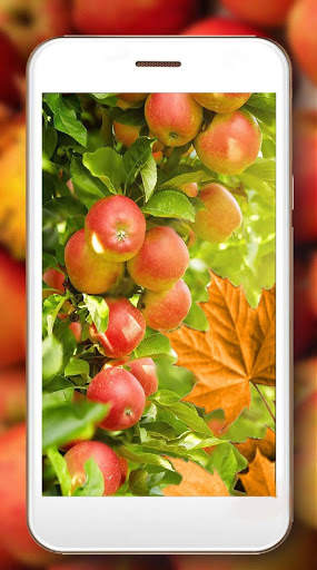 Apples Autumn HD Live Wallpaper screenshot 2