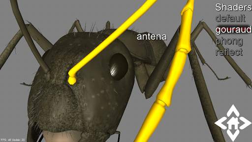 3D Ant Explorer Demo screenshot 2